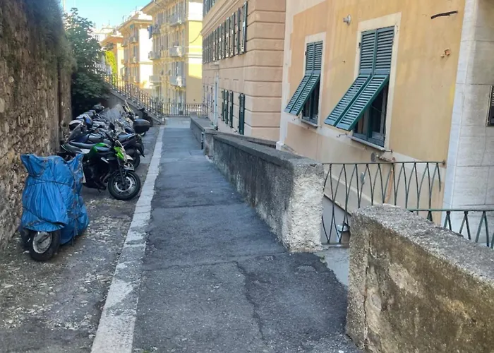 Teranga Genovese * Генуя